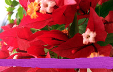 Load image into Gallery viewer, RUBY Live Well Rooted Bougainvillea STARTER plant