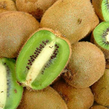 Load image into Gallery viewer, TOMURI Male Kiwi Vine~~ Live Starter Plant - Actinidia chinensis~~