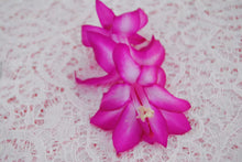 Load image into Gallery viewer, Madonna Christmas Cactus/Thanksgiving Cactus SchlumbergeraTruncata Rooted STARTER Plant
