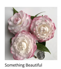 Load image into Gallery viewer, SOMETHING BEAUTIFUL~~Camellia Japonica Live STARTER Plant--VERY UNIQUE BLOOMS!
