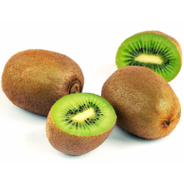 Actinidia chinensis 'Vincent' KIWI (ACTINIDIA DELICIOSA)