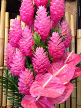 Load image into Gallery viewer, ***Hawaiian Hot Pink*** Ginger Alpinia Purpurata Starter Plant

