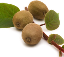 Load image into Gallery viewer, VINCENT Female Kiwi~~Live Starter Plant Fruit Vine ~ Actinidia chinensis~
