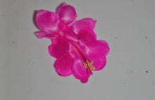 Load image into Gallery viewer, ***Satin Beauty*** Christmas Cactus Schlumbergera Starter Plant
